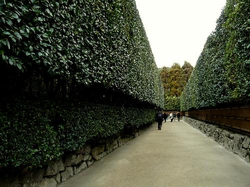 d0084473_20331789.jpg
