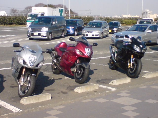 d0042380_17421256.jpg