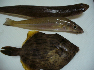 e0026586_22202031.jpg