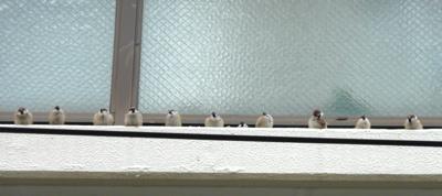 f0146198_15103727.jpg
