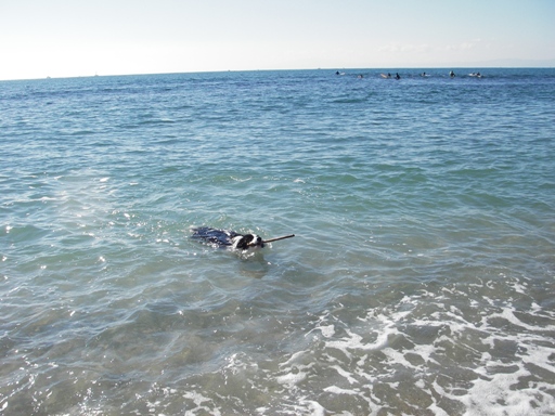 f0034602_9245276.jpg