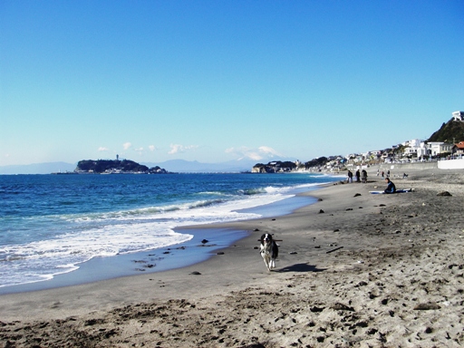f0034602_9251041.jpg