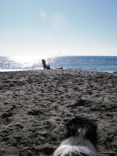 f0034602_9254645.jpg