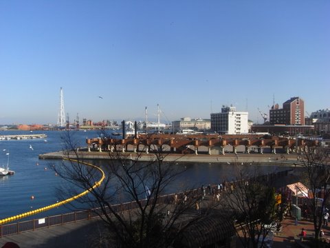 c0156703_11361065.jpg