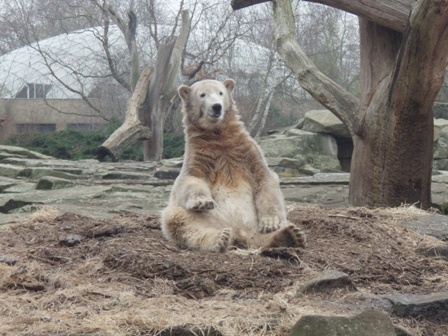 ベルリン観光～動物園編～_f0111905_715045.jpg