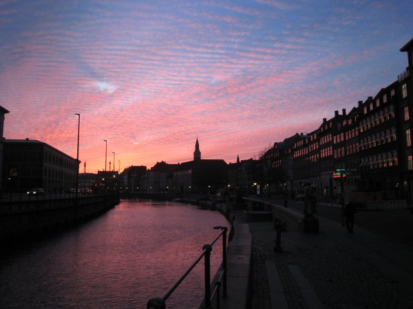 pinkish Copenhagen_d0142121_116211.jpg