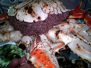 f0083726_1611163.jpg