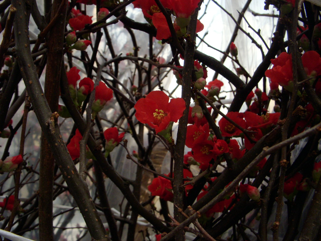 b0019140_13474051.jpg