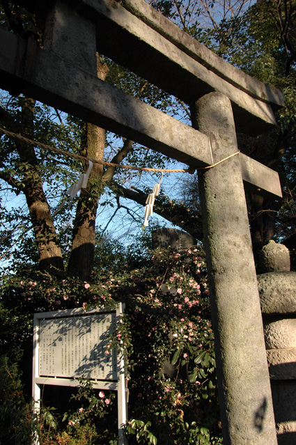 須賀神社　すがじんじゃ_e0025449_2565446.jpg