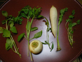 c0118352_1453337.jpg