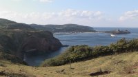 東の大間に負けない西のマグロ島・見島_c0049060_0422321.jpg