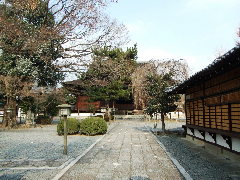 c0055363_1755984.jpg