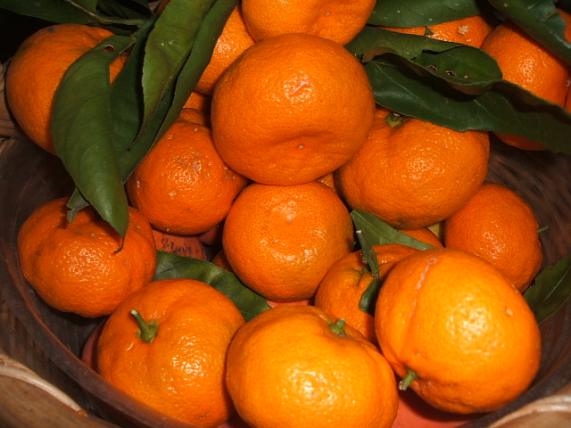 c0115366_04915.jpg