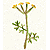 c0117979_1551820.gif