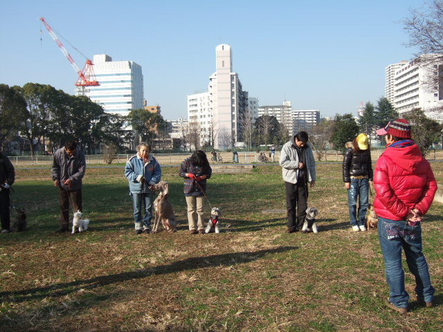 Dog School Report (80) 練習始め_e0009283_2232464.jpg