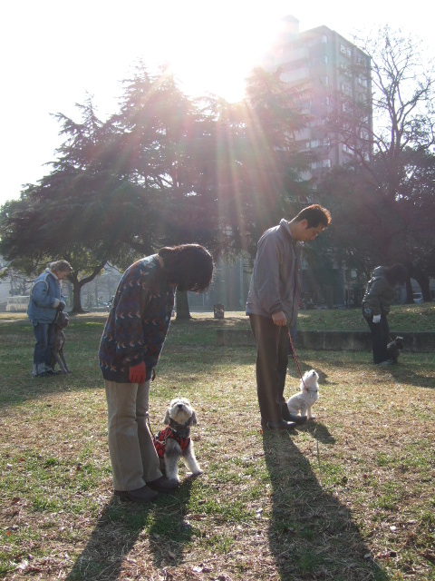 Dog School Report (80) 練習始め_e0009283_22324791.jpg