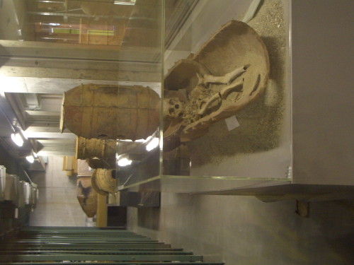 神戸市埋蔵文化財センター_b0118987_1043913.jpg