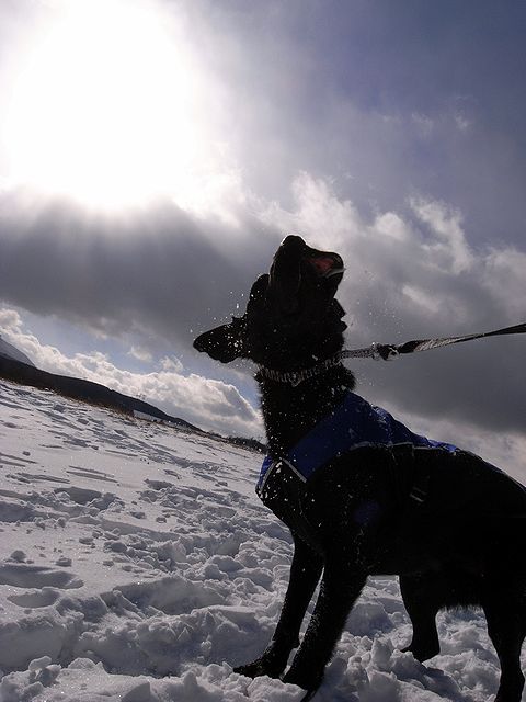 a0093592_0442298.jpg
