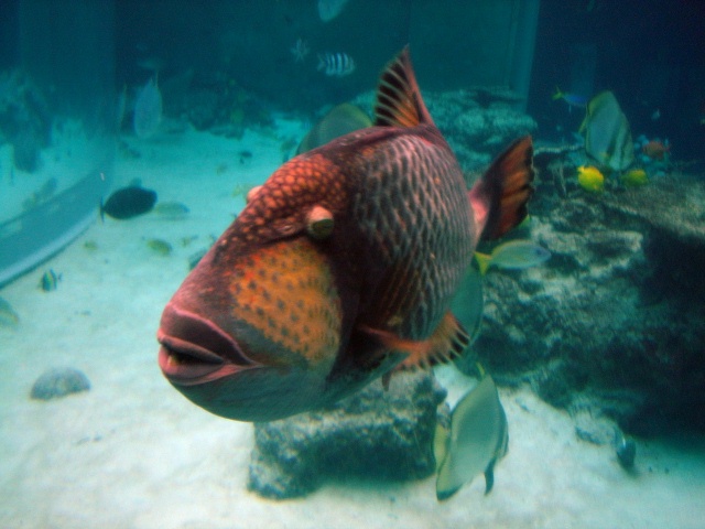 e0126094_19515882.jpg