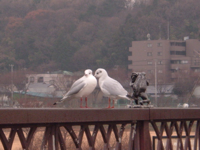 c0149195_2164250.jpg