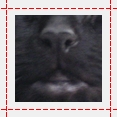 c0053898_2262790.jpg
