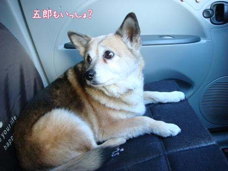 心配で病院へ_f0064906_17302295.jpg