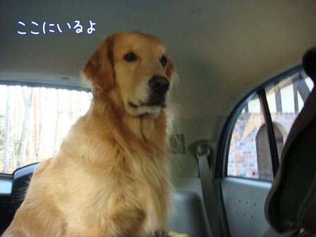 心配で病院へ_f0064906_17303845.jpg