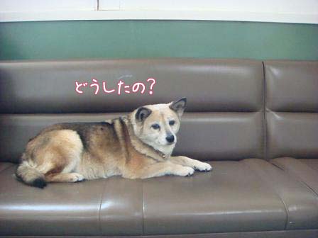 心配で病院へ_f0064906_17422233.jpg