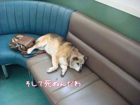心配で病院へ_f0064906_17452965.jpg