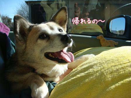 心配で病院へ_f0064906_1757875.jpg