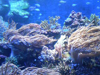 a0088007_0435142.jpg