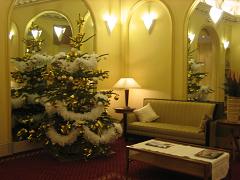 b0081313_17963.jpg
