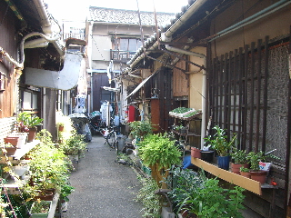 c0046030_022472.jpg