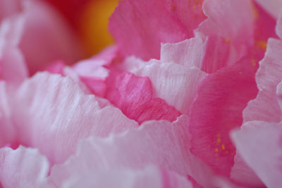 e0054635_93936.jpg