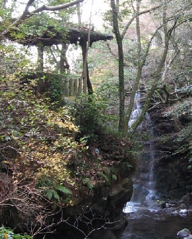 c0051938_1895081.jpg