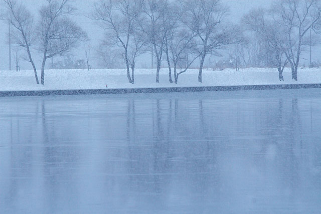 雪が降る_c0067040_21561354.jpg