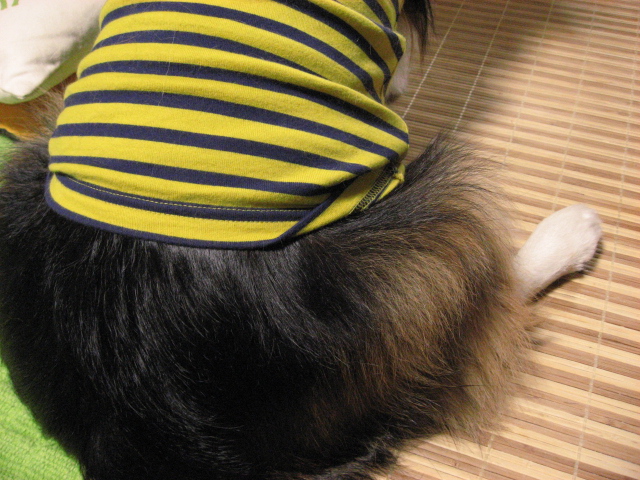 b0097747_9415747.jpg