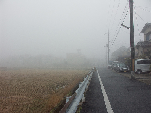 が 免疫 なあに つく かえって