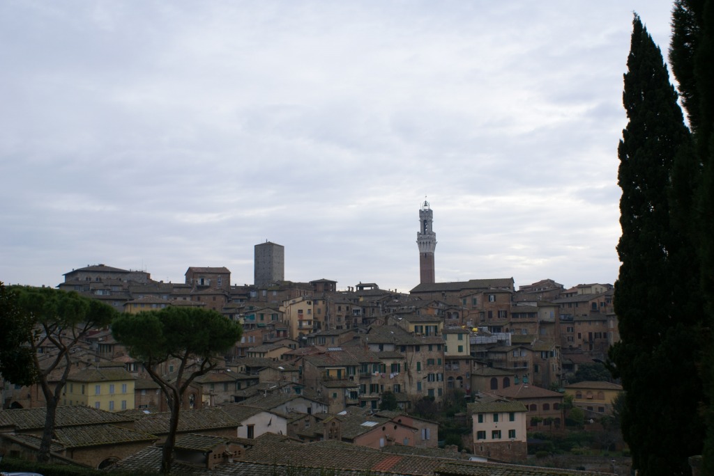 時間が止まった街。　in Siena, San Gimignano_c0105551_4504981.jpg