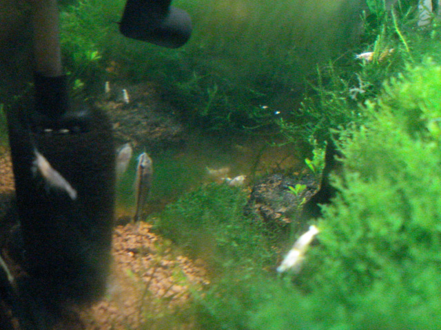 f0156765_15484582.jpg