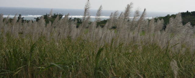 f0088569_21165495.jpg