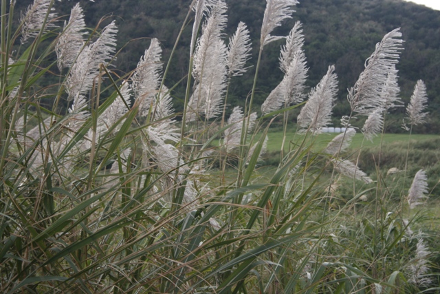 f0088569_21264899.jpg