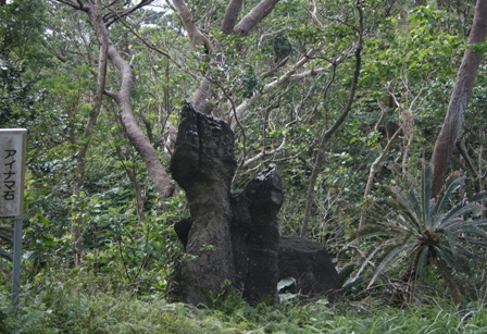 f0088569_21351944.jpg