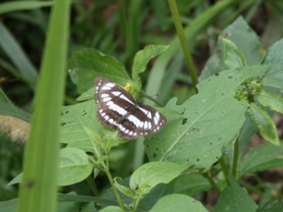 f0088569_21491518.jpg