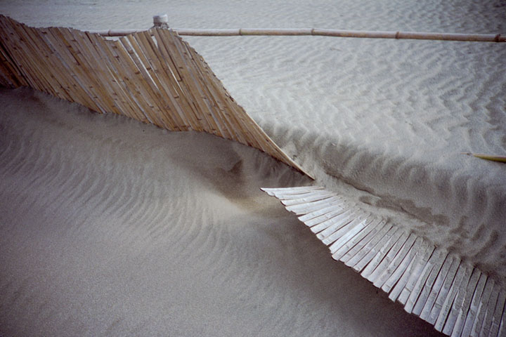 b0021570_1236555.jpg