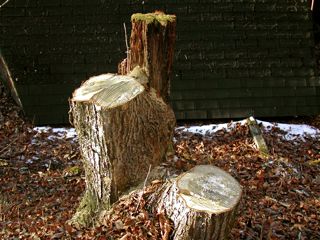 c0082573_2243113.jpg