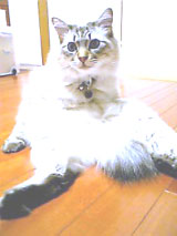 d0062287_18329.jpg