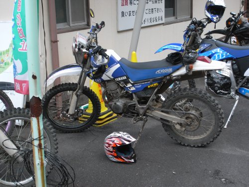 初走り_a0047491_1836929.jpg