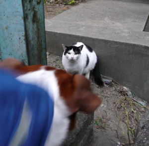 f0146198_2157483.jpg