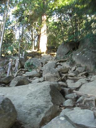 b0116703_0252969.jpg